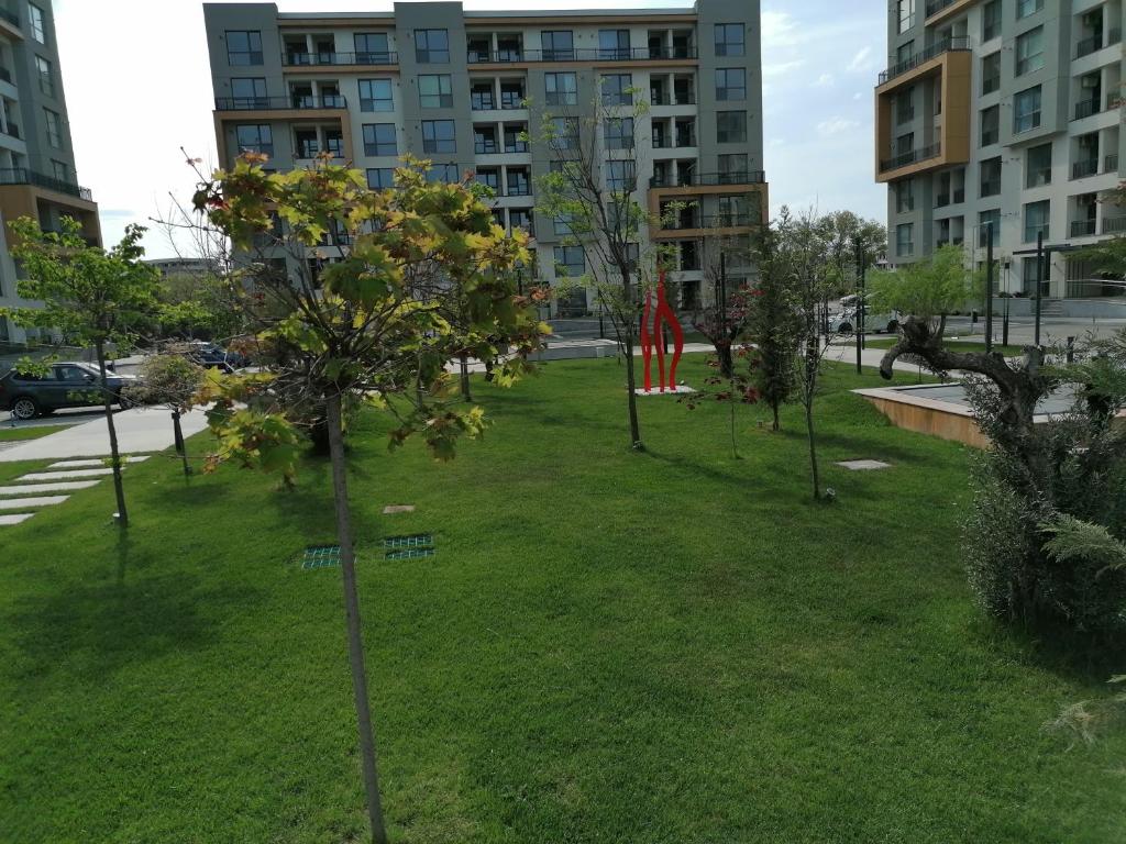 Seashell Studio Mamaia room 1