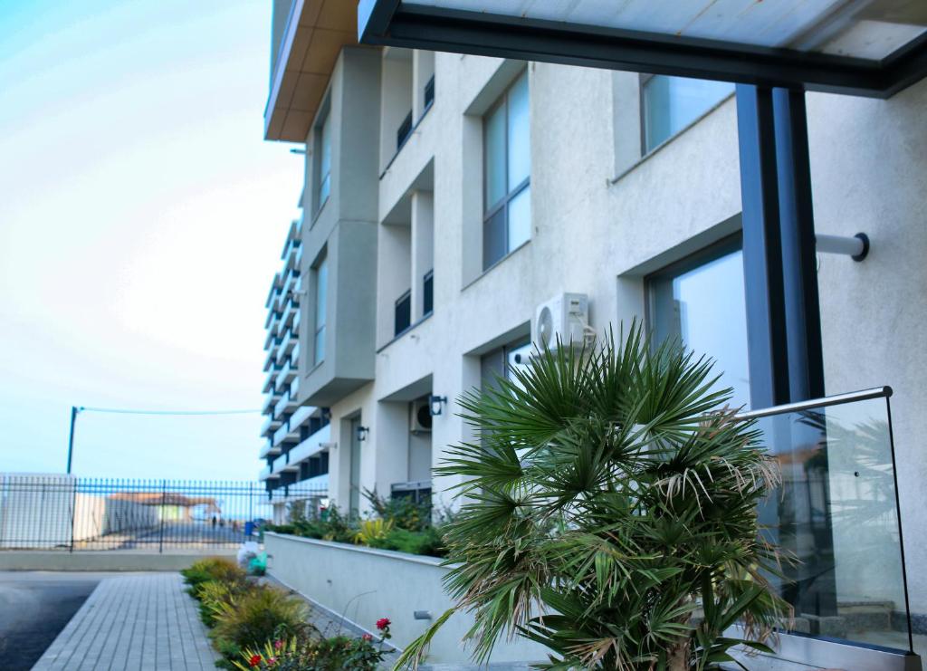 Seashell Studio Mamaia room 3