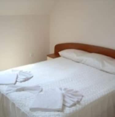 Semeen Hotel Afrikana room 1