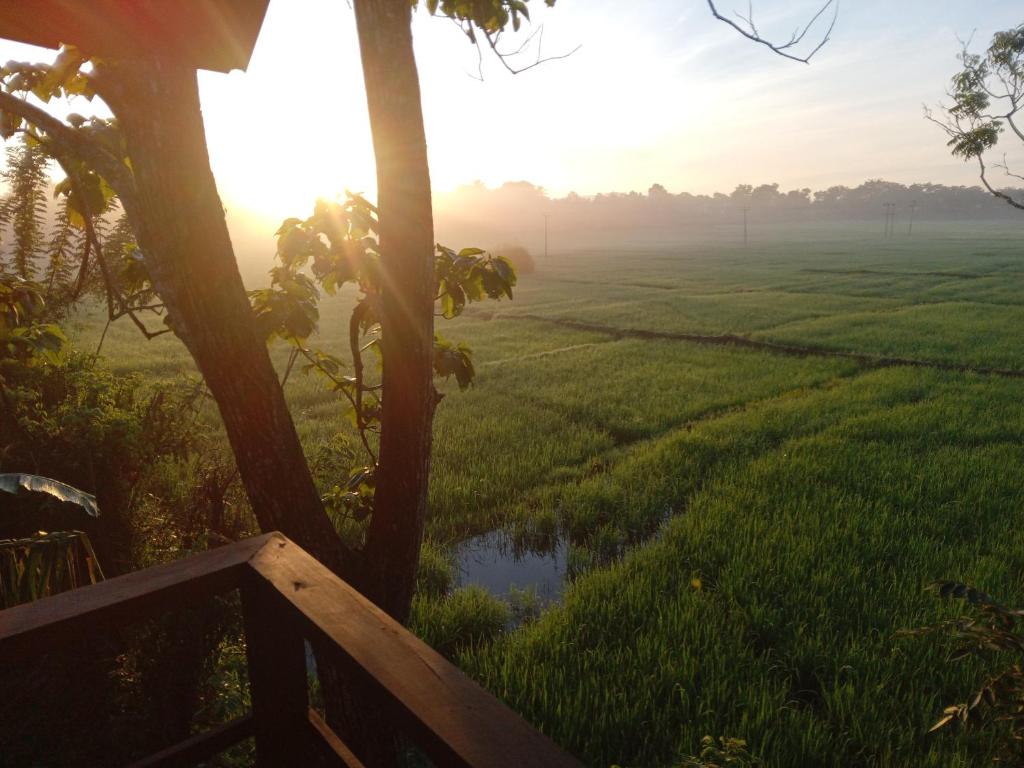 Sigiri Paddy Field Hut room 4