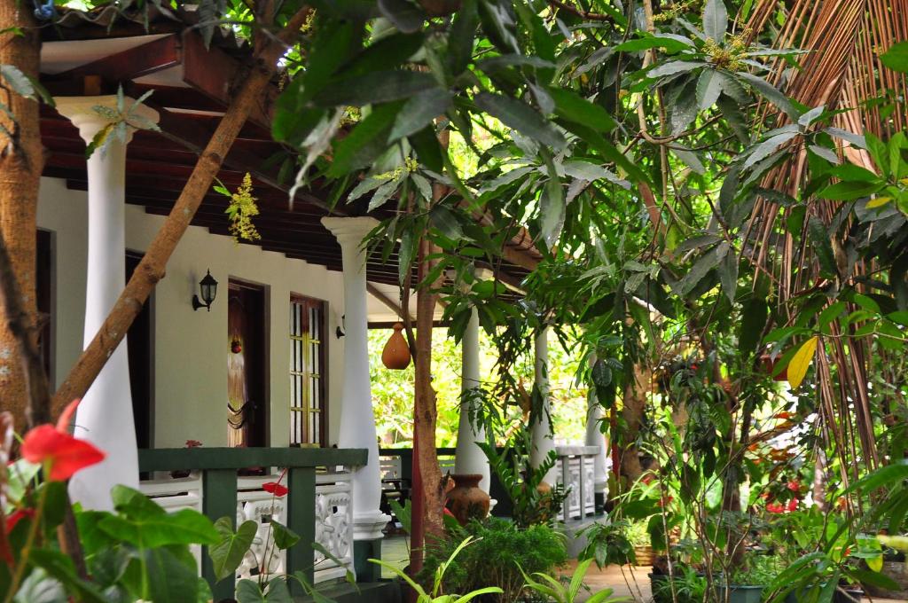 Sigiri Rock Side Home Stay room 1