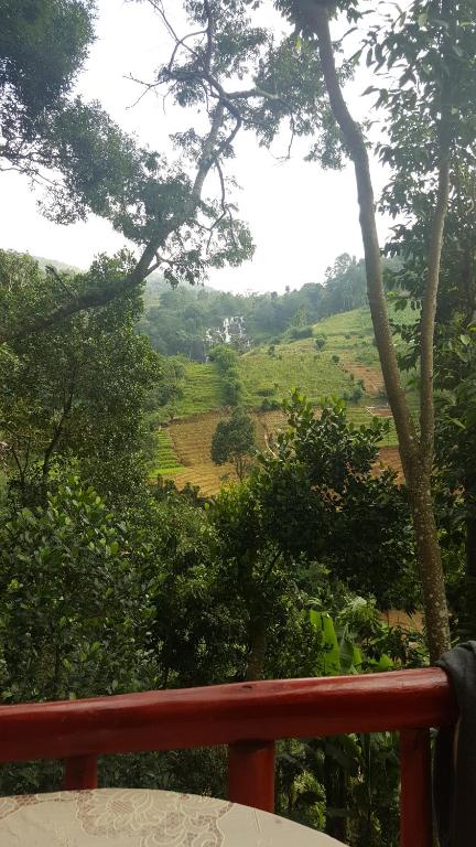 B&B Silent Nest room 2