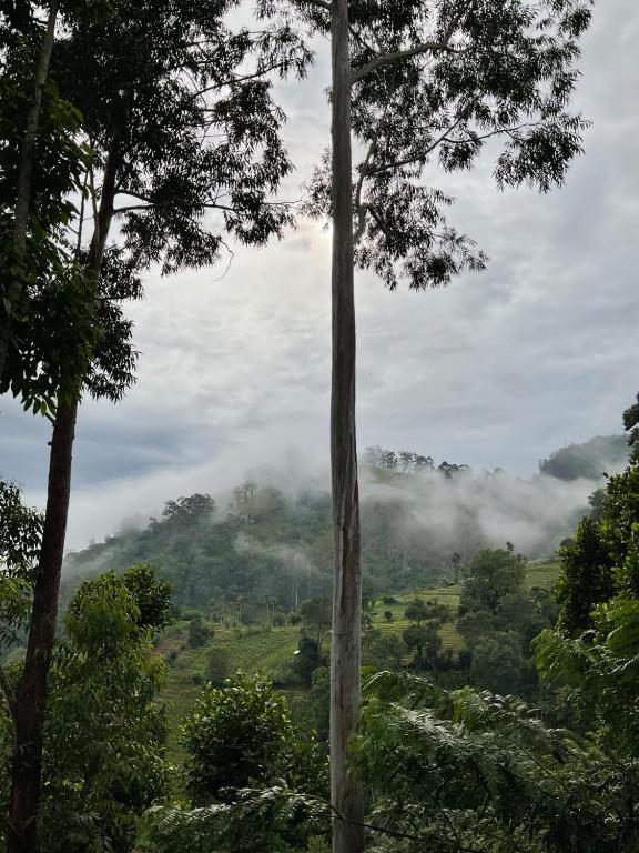 B&B Silent Nest room 3