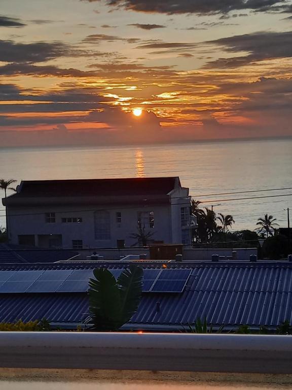 SONG OF THE WHALES room 1