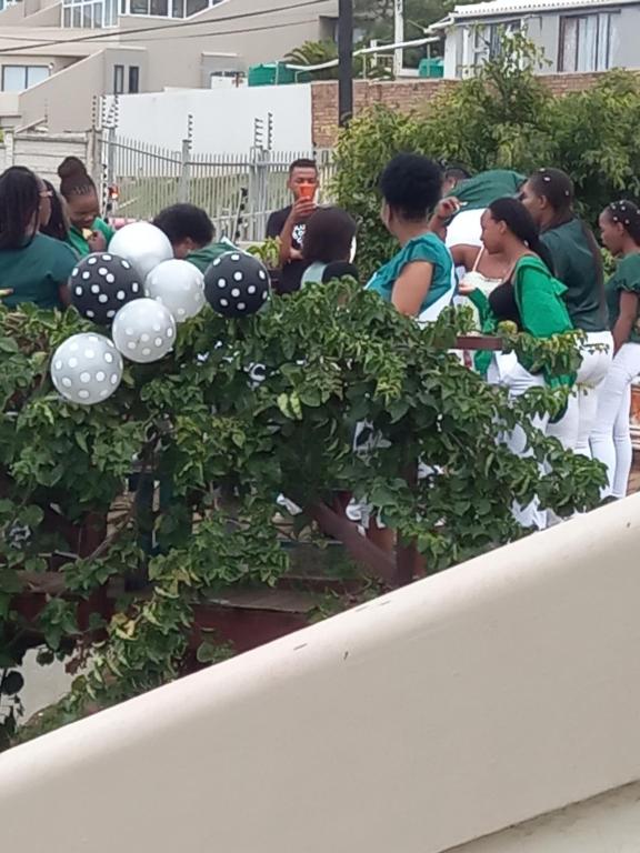 SONG OF THE WHALES room 2