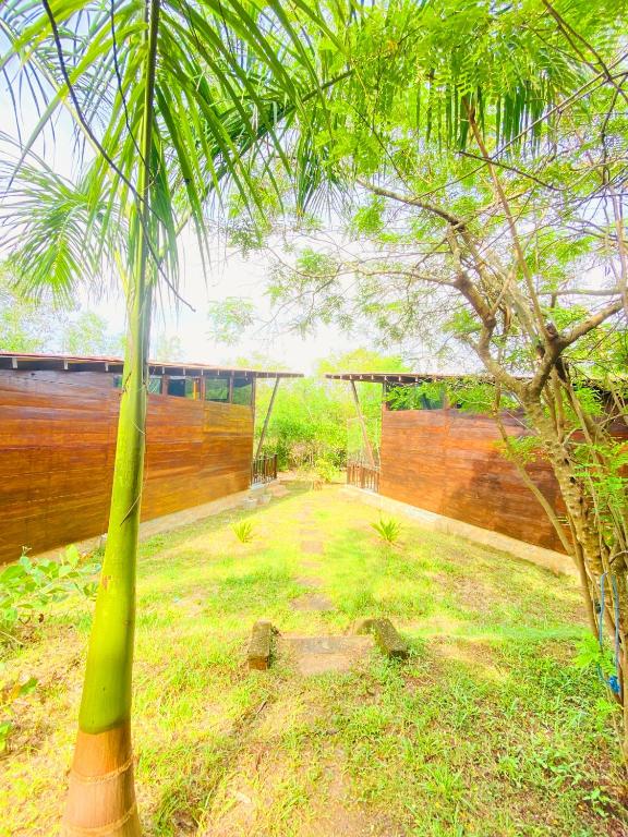 Southern Edge room 6