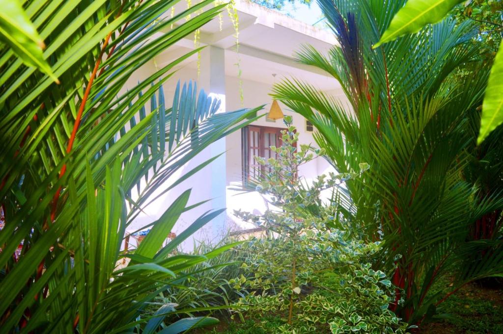 South Heaven Villa room 1