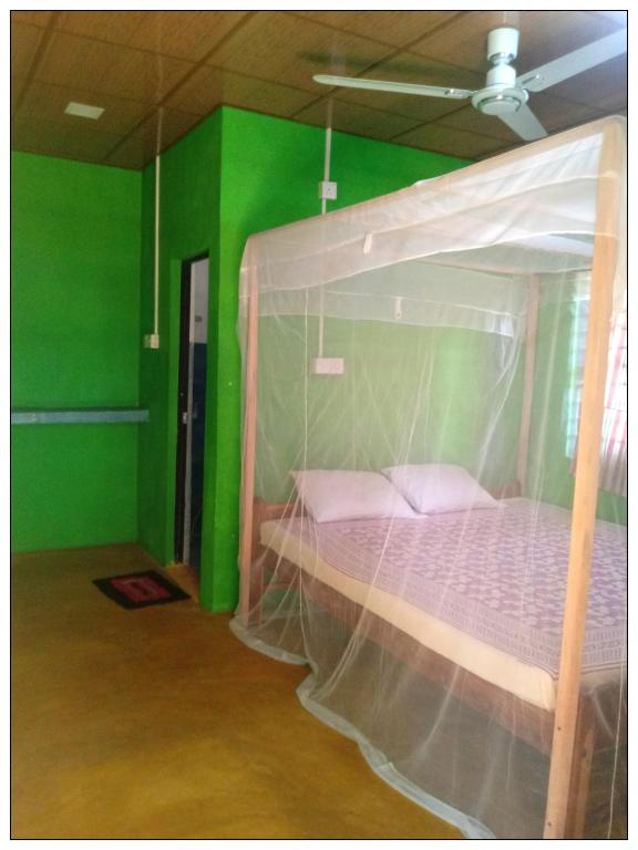 Starfish Cabana room 3