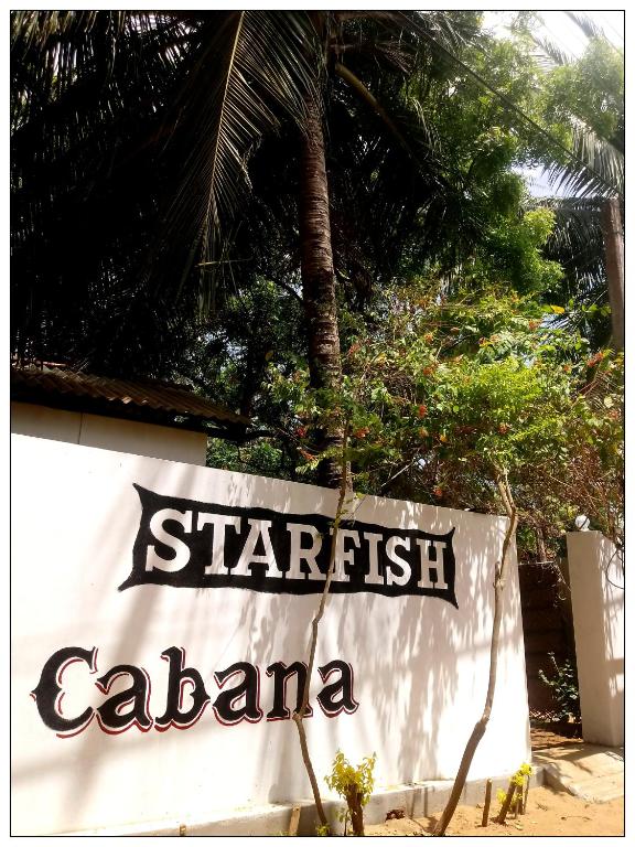 Starfish Cabana room 6