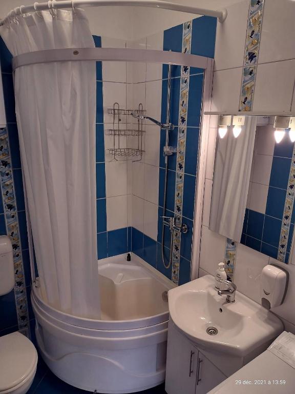 Stela Studio Apartment room 3