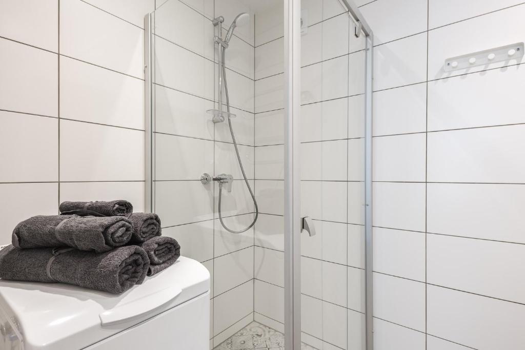 Strautu Lux Apartments room 4