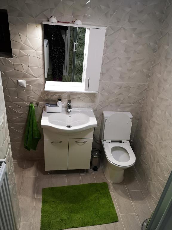 Studio Deluxe Sinaia room 5