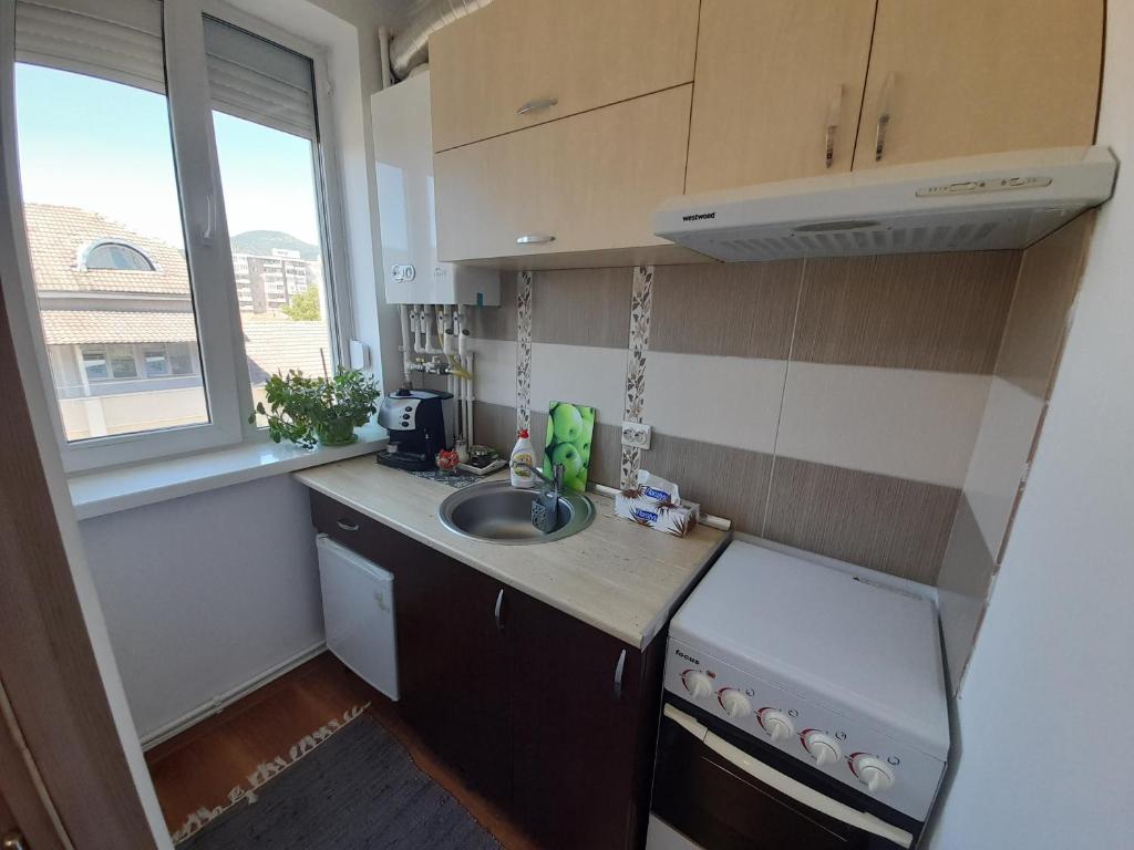 Studio Elveția room 6