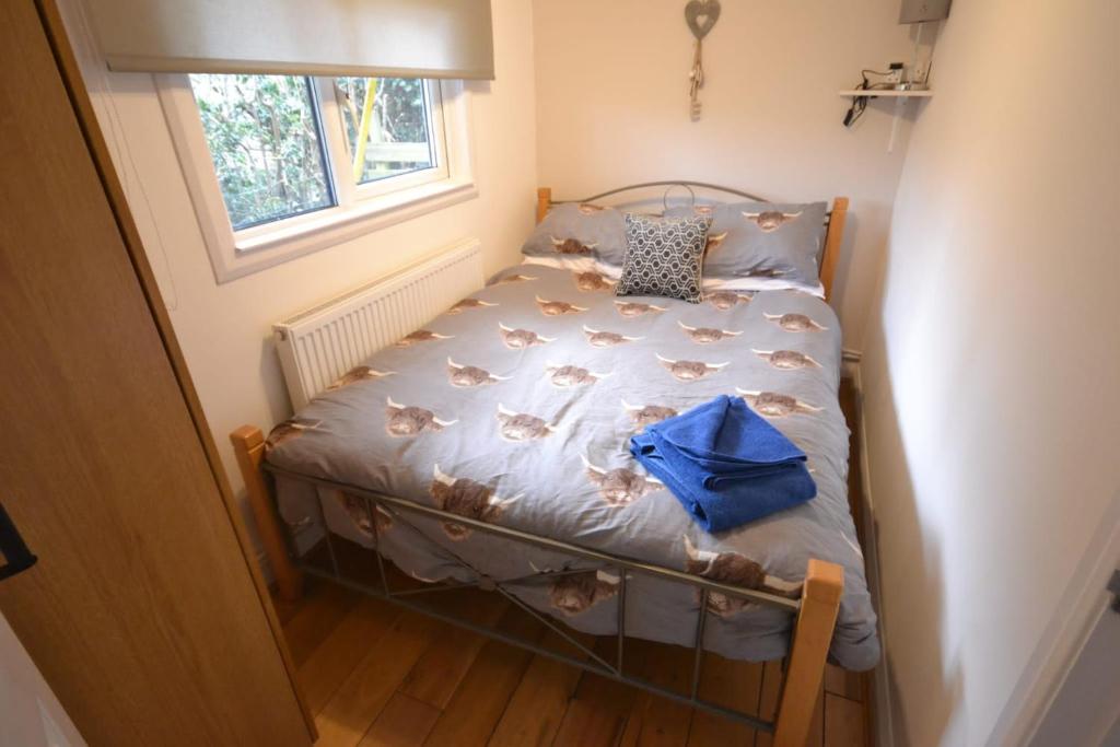 Stunning 2-bed Cabin in Nantglyn Denbigh room 4
