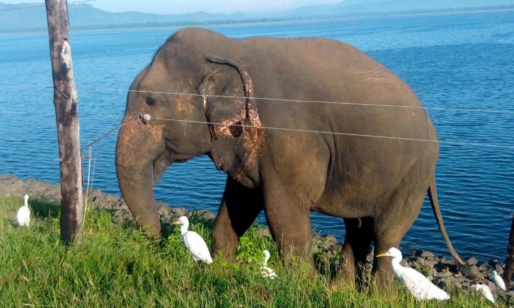 Summerland Residence room 6