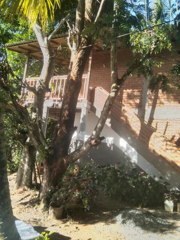 Sun Beam Homestay room 2