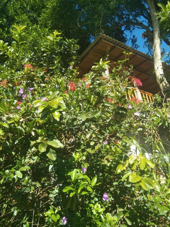 Sun Beam Homestay room 4