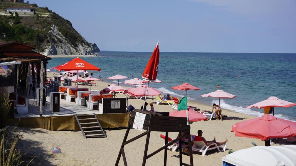 Sunny House Apartment room 1