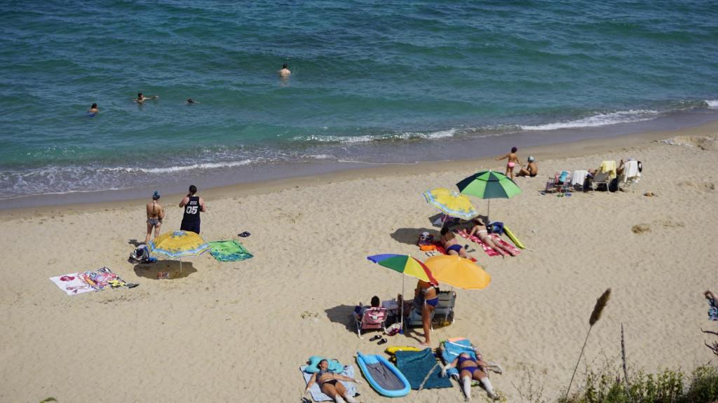 Sunny House Apartment room 2