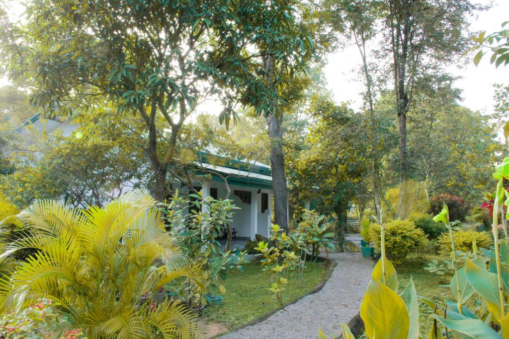 Tamarind Tamarind Resort room 4