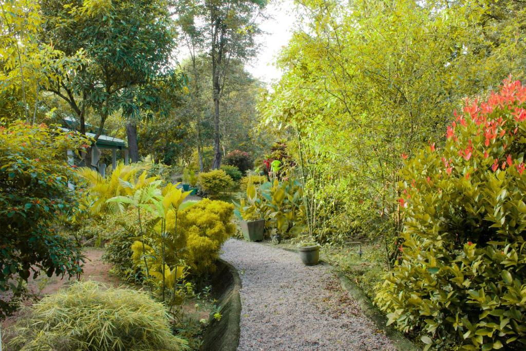 Tamarind Tamarind Resort room 5