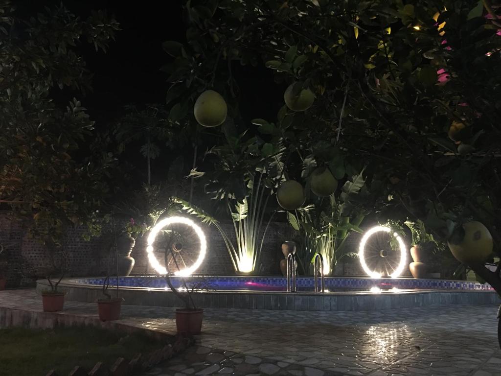 Tam Coc Thanh Dat Homestay room 5