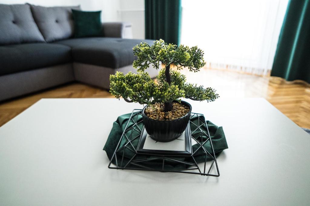 Tania Apartament room 1