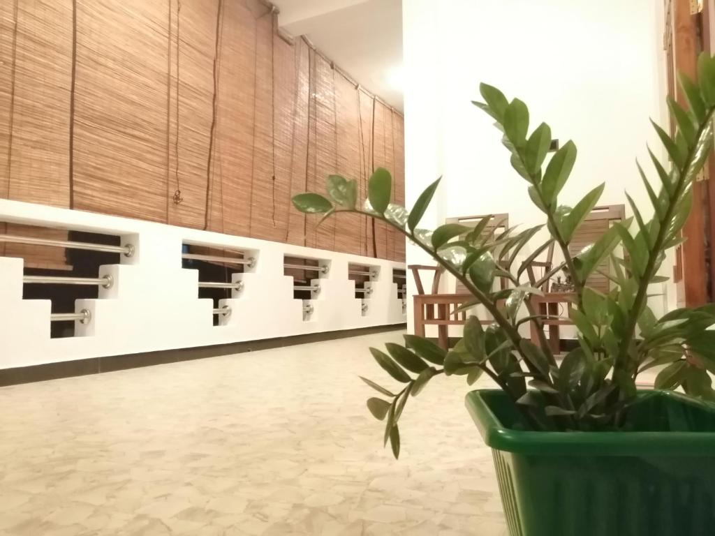 Temple Tree Mirissa room 4