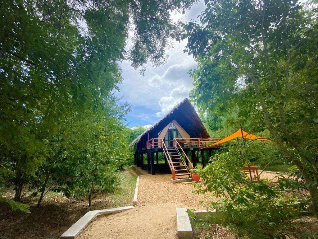 Thamaravila Wilpattu - Luxury Glamping Retreat room 1