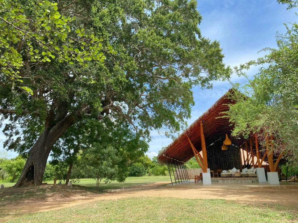 Thamaravila Wilpattu - Luxury Glamping Retreat room 2