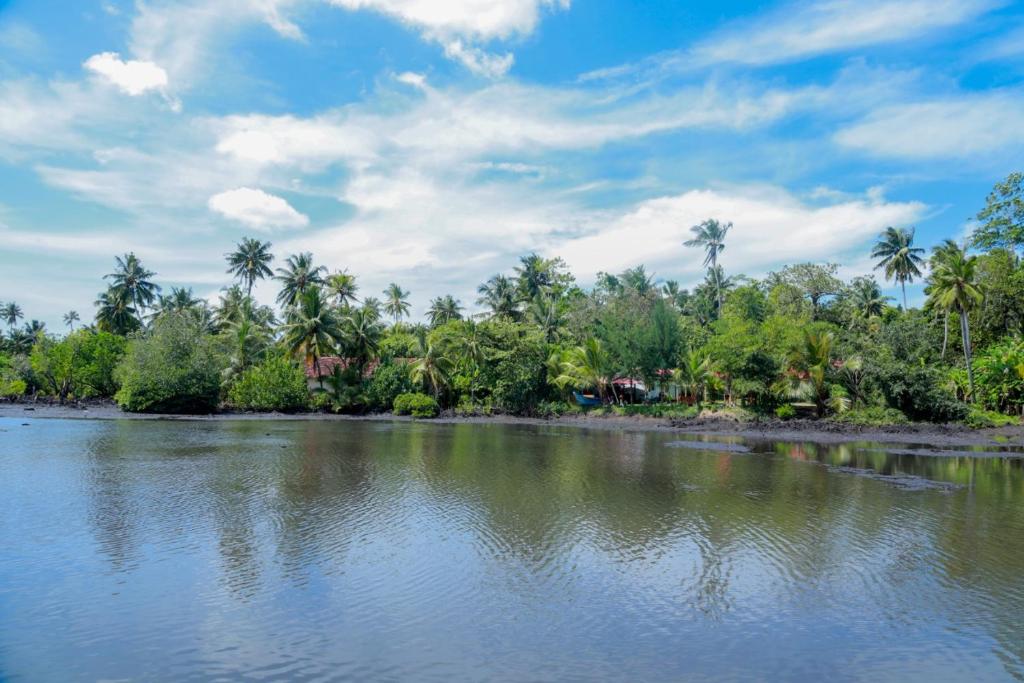 The Mangroves Villa Ahangama room 2