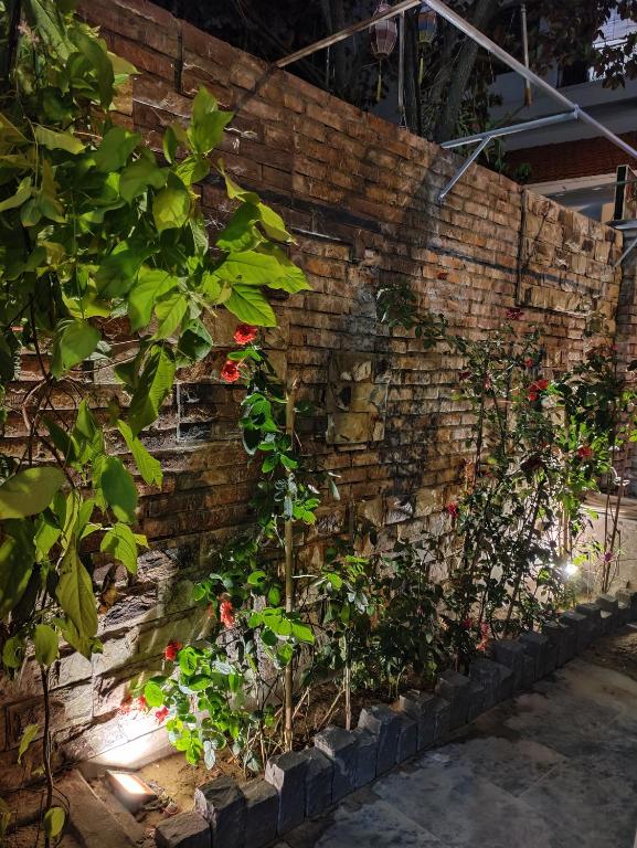 The Sun Homestay room 2