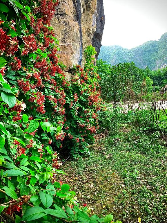 Trang An Valley Bungalow room 5