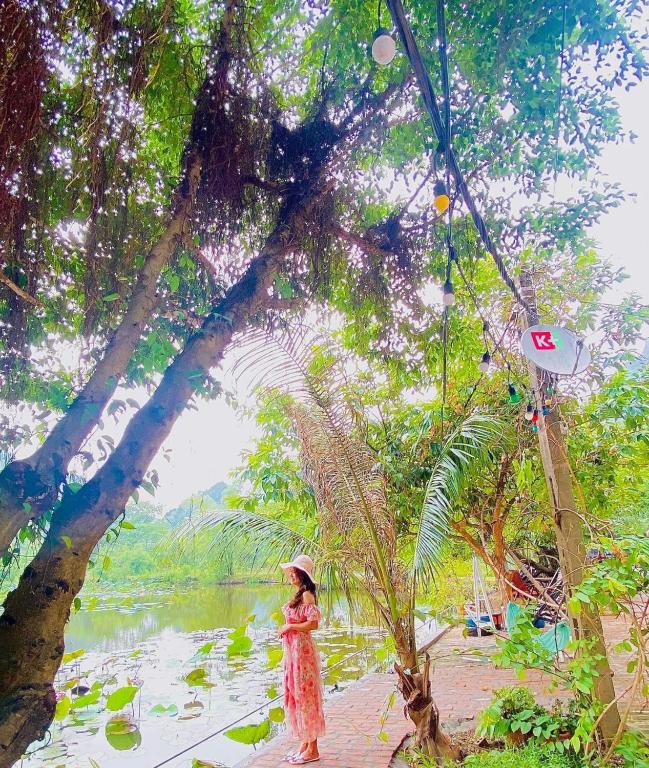 Trang An Valley Bungalow room 6