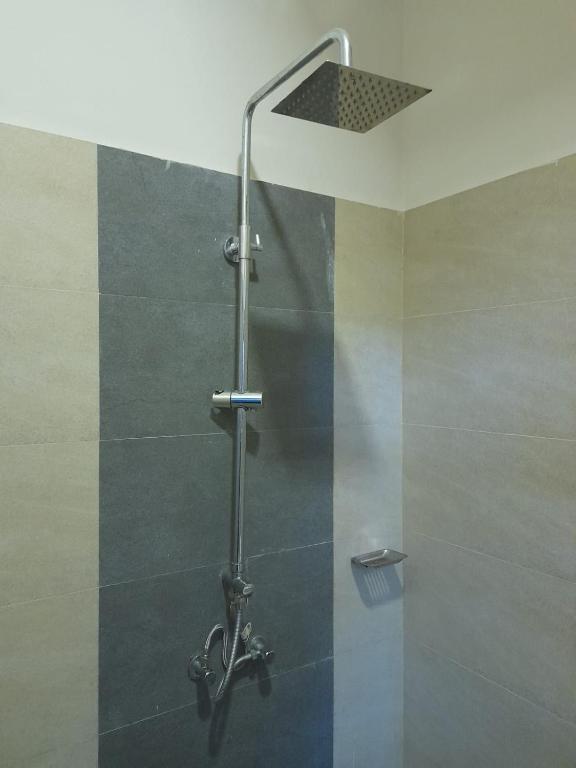 Tranquil City Guest room 4