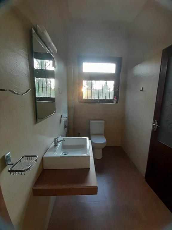 Tranquil City Guest room 6