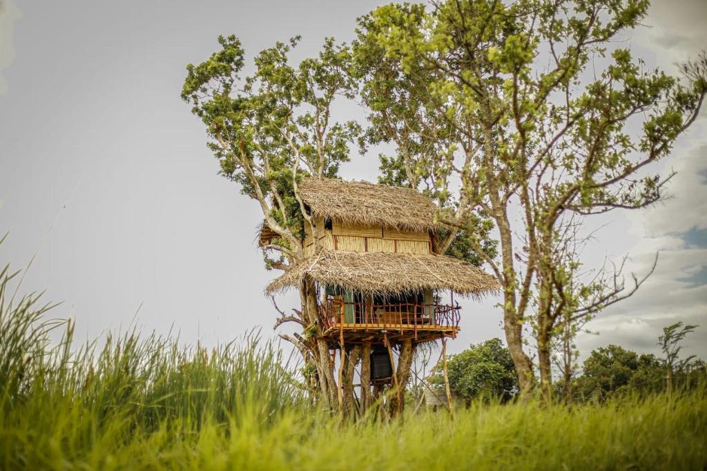 Tree house Usha room 1