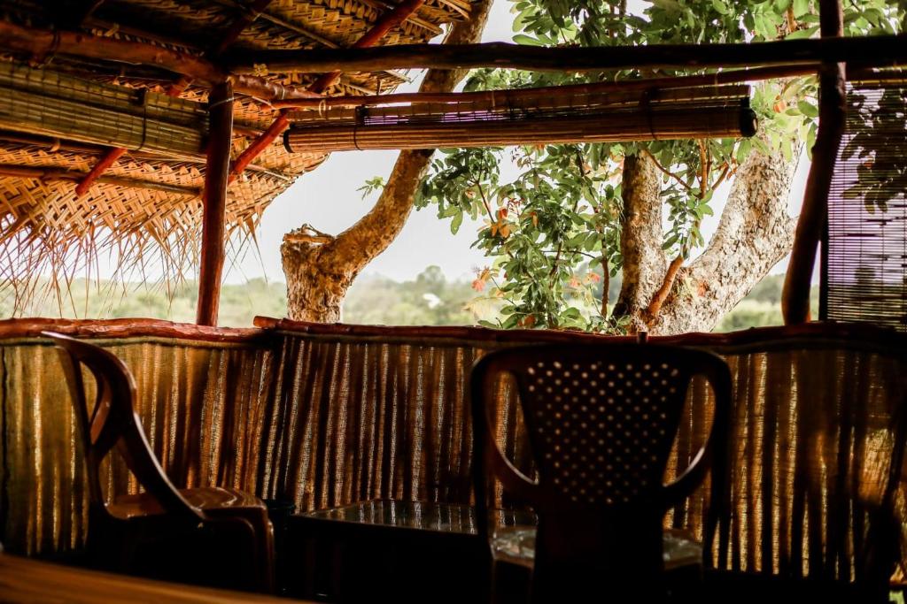 Tree house Usha room 2