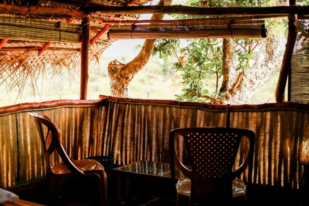 Tree house Usha room 3