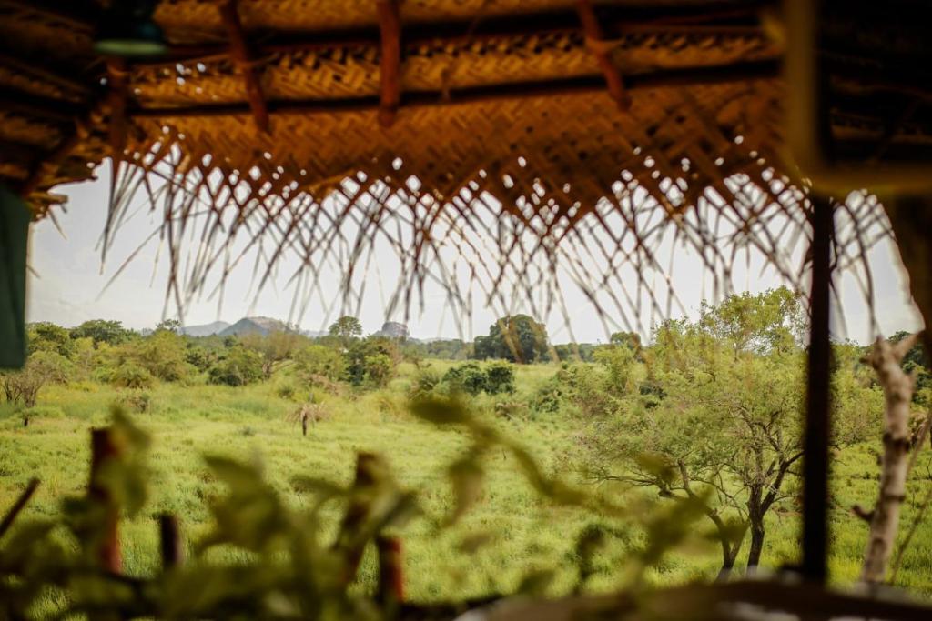 Tree house Usha room 4