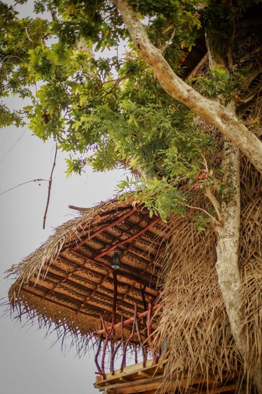 Tree house Usha room 6