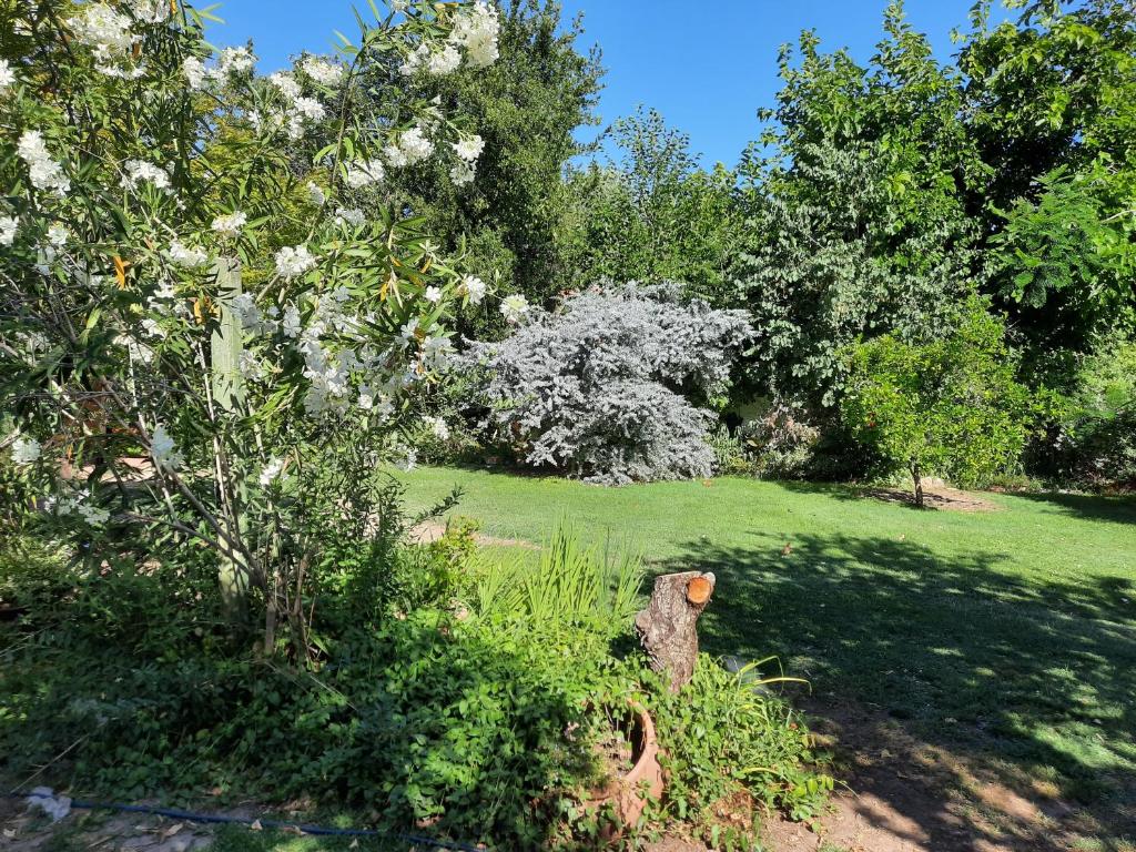 Tu Casa En El Centro room 2