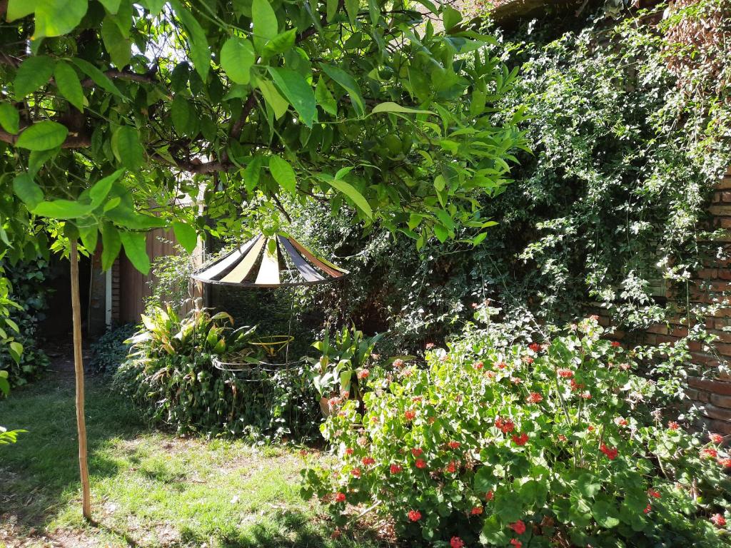 Tu Casa En El Centro room 5