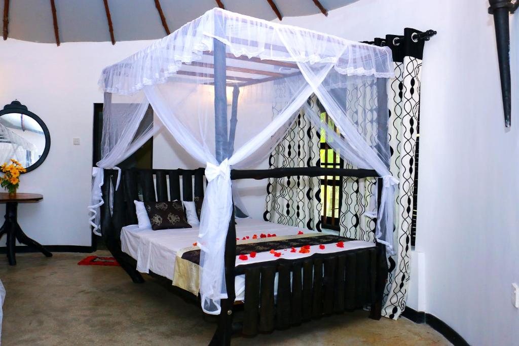 Turtle Watch Cabana room 2