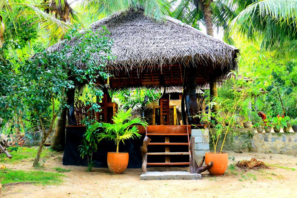 Turtle Watch Cabana room 4