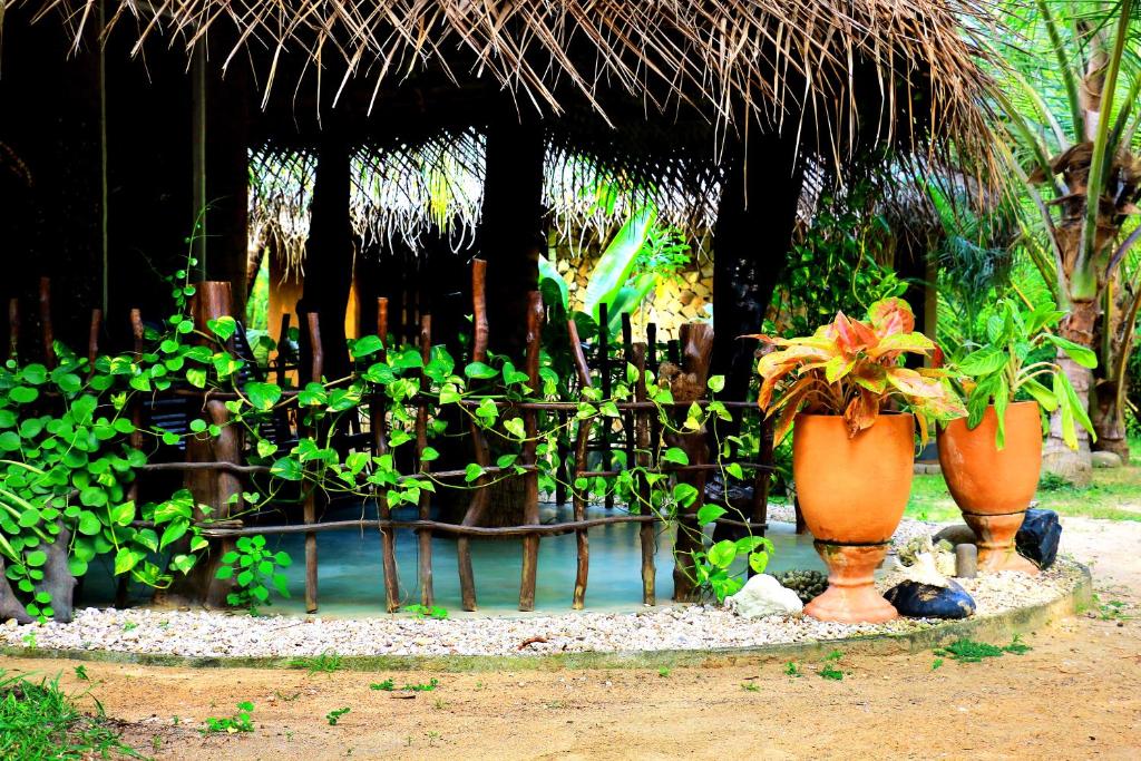 Turtle Watch Cabana room 5