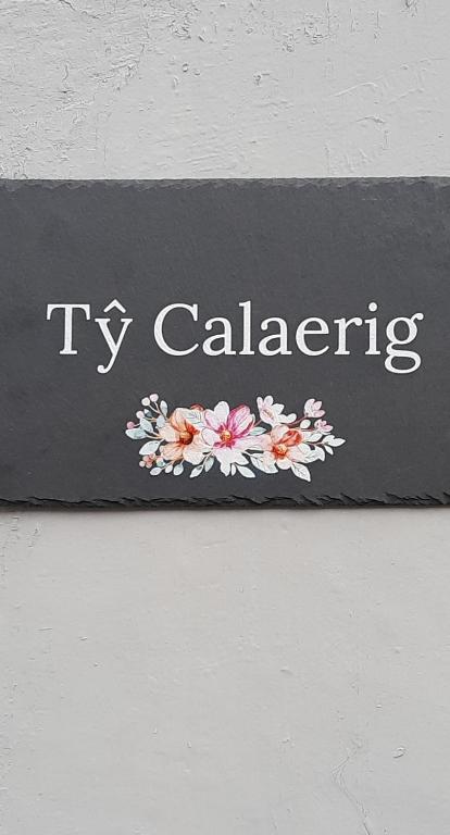 Ty Calaerig room 2