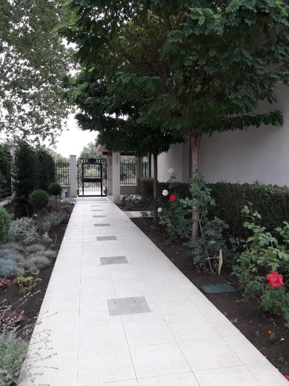 Udacha Studio room 2