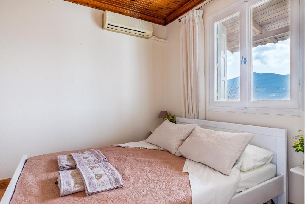 VASIA House room 2