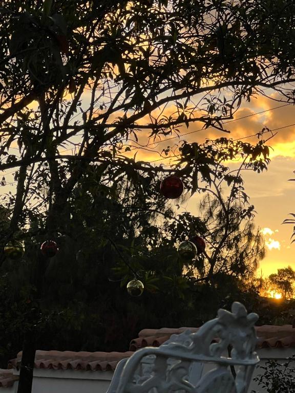 Victorias Villas room 5